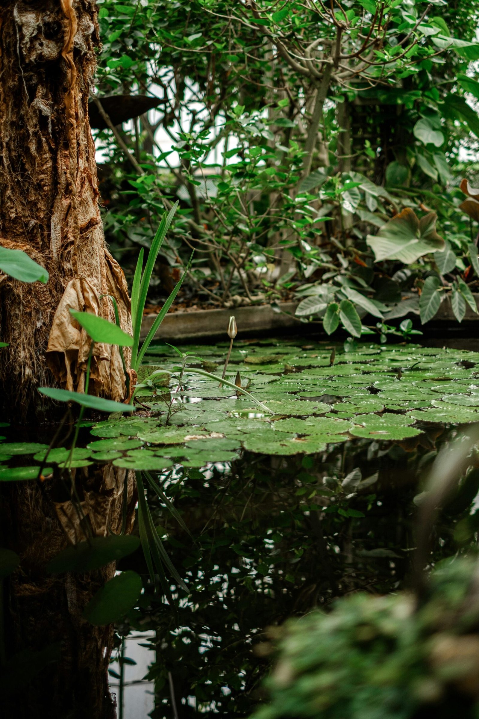 pexels-svitlana-shakalova-1789851085-33418649